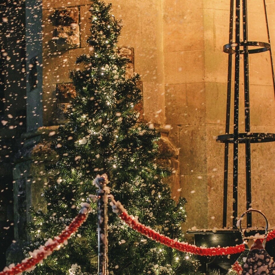 christmas tree events entrance